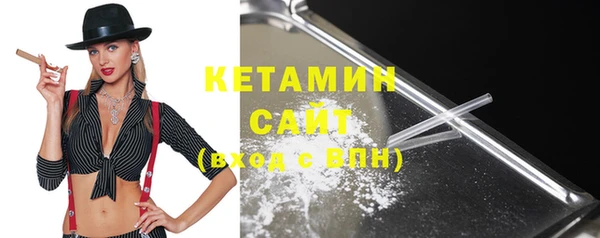 шишки Богородицк