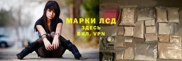 шишки Богородицк