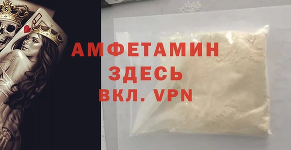 шишки Богородицк