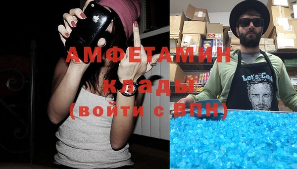 шишки Богородицк