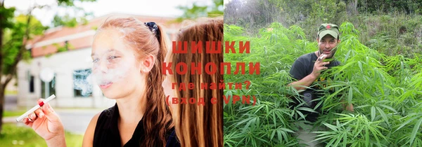 шишки Богородицк