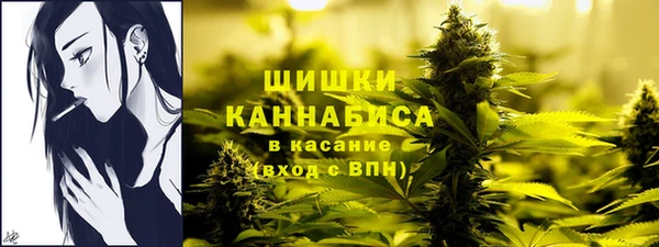 шишки Богородицк