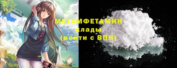 шишки Богородицк
