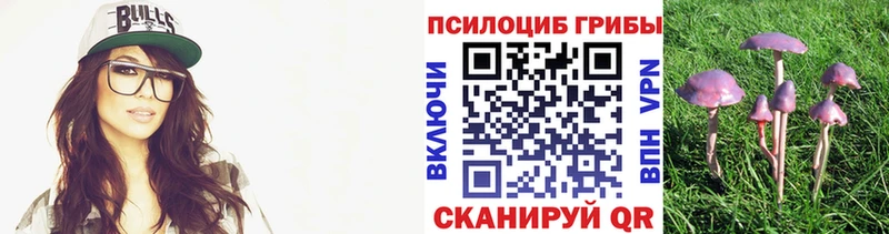 Купить закладки  Боготол  Псилоцибиновые грибы мицелий 